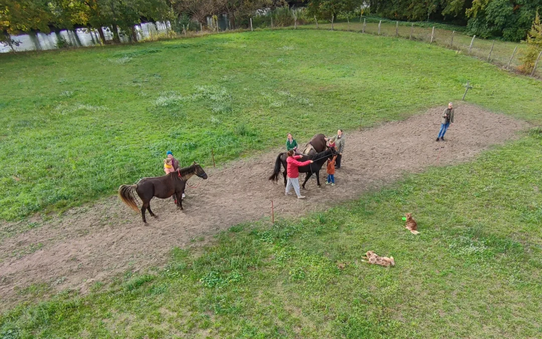 Winter-Intensive ‘Briescht’